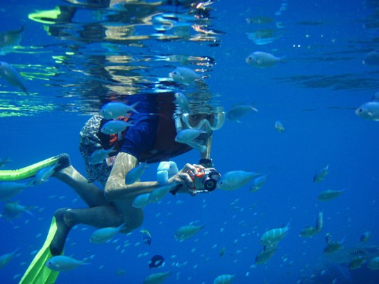 Snorkeling in Qatar